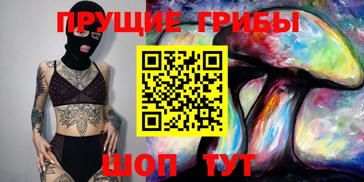 Псилоцибиновые грибы Psilocybe  Вход с VPN  цена наркотик  Старая Русса  Псилоцибиновые грибы Psilocybe 